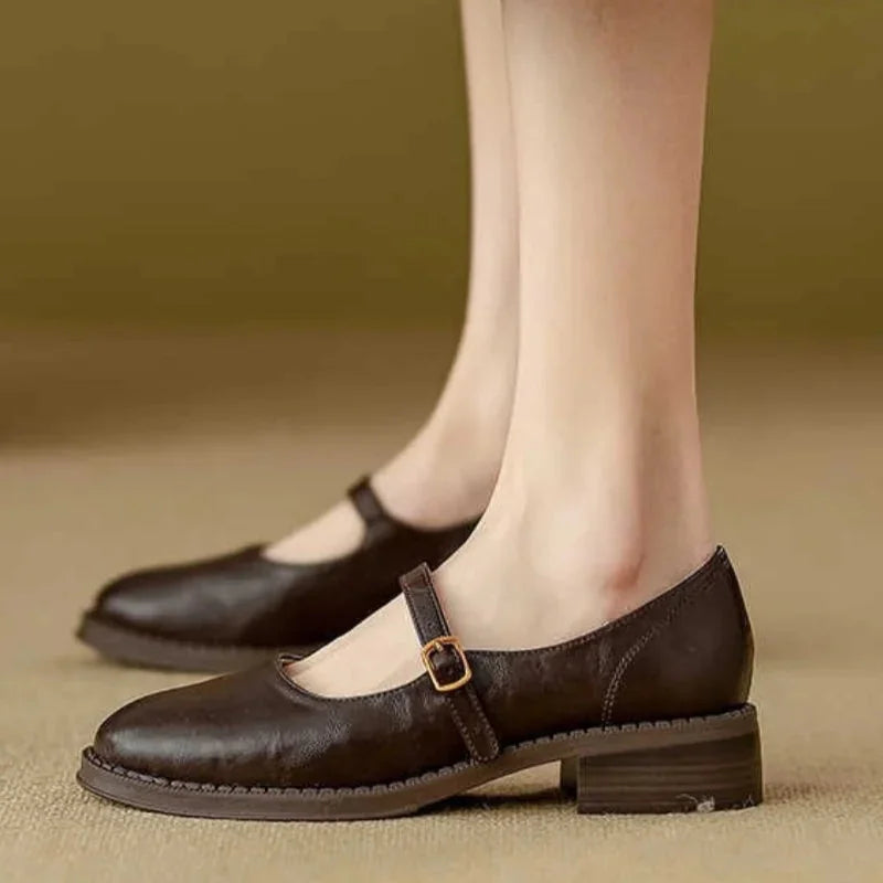 Brown Women's Mary Jane Shoes with Leather Finish & Low Block Heel — Kate - Side Worn Closeup